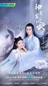 神君家的小白狐