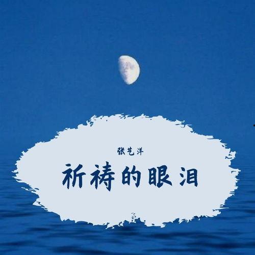 祈祷毯边的泪水,祈祷毯旁泪洒信仰之光