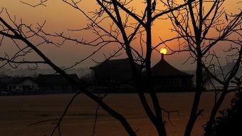 冬日寒阳,探寻寒意中的温暖时光